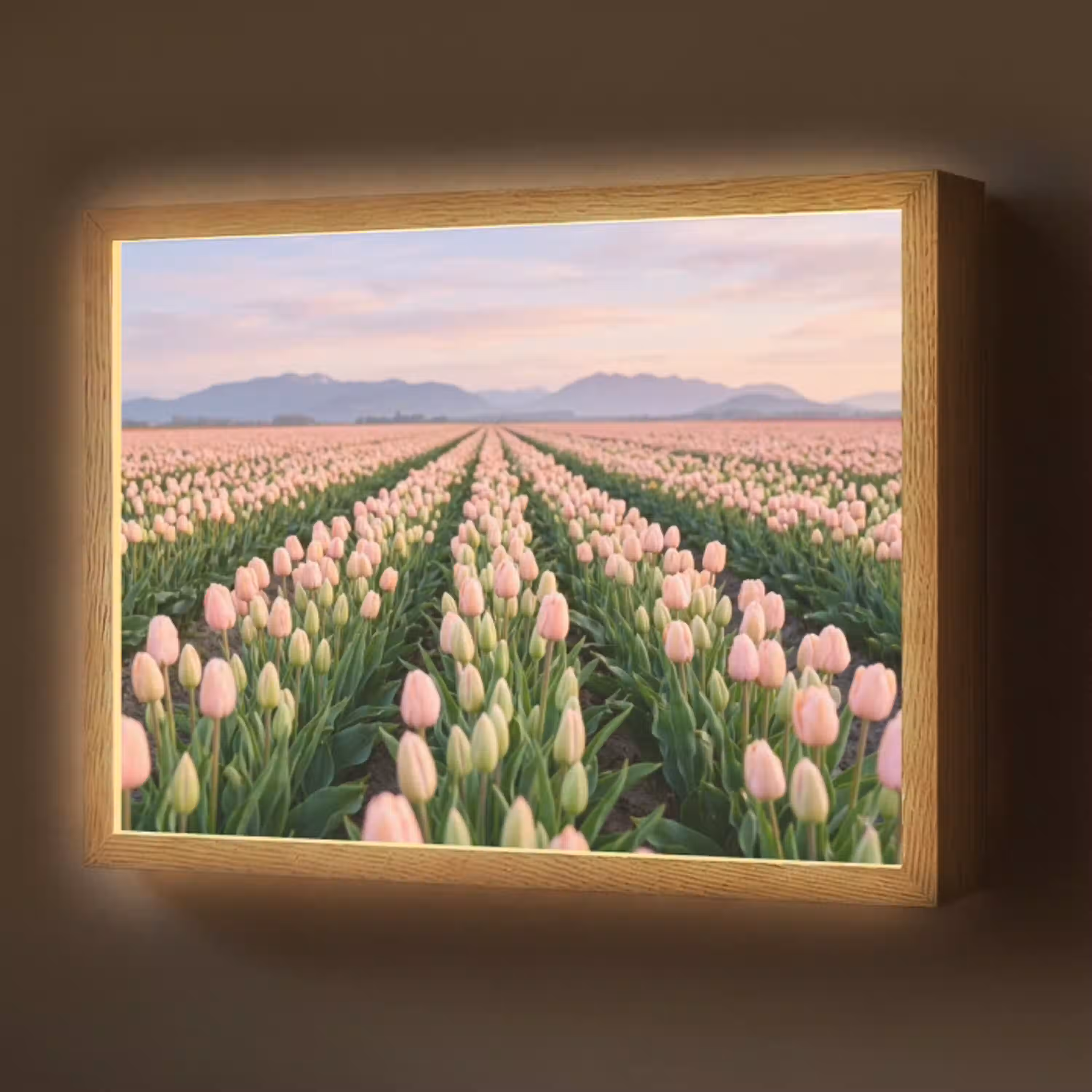 Tulpen - Landschap - Roze Light Box met batterij (Wandlamp) middel -z3d_website