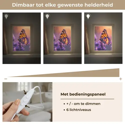 Bloemen - Vlinder - Lavendel - Bloem - Natuur Light Box met kabel (Tafellamp) klein -USP_dimbaarNL