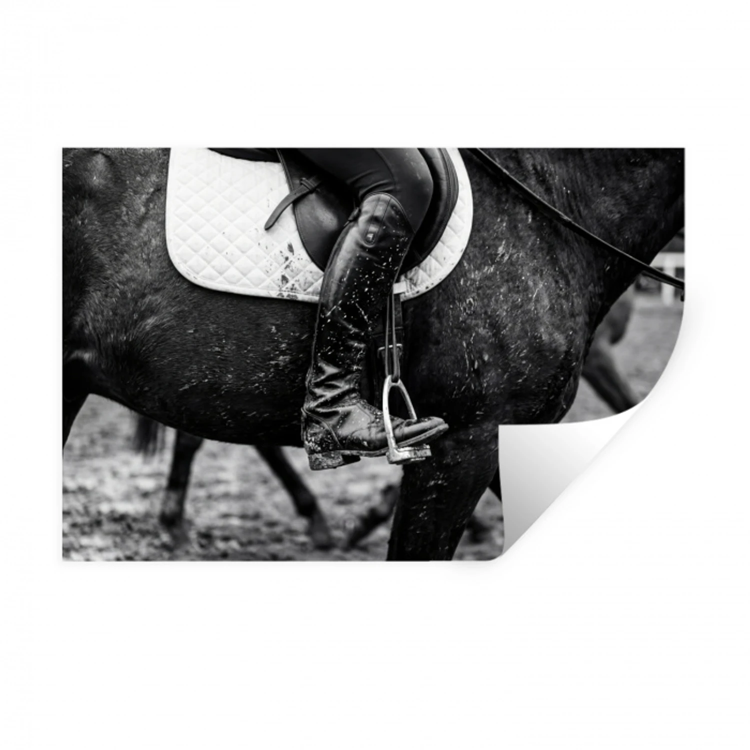 Paard - Sport - Zwart - Wit Muursticker klein -3d