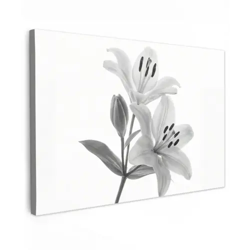 Lelies - Elegant - Zwart - Wit canvas 2cm klein -z3d