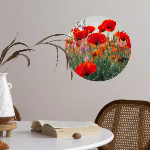 Klaproos - Bloemen - Rood - Paars - Weide Wandcirkel behangsticker klein -sfeer3