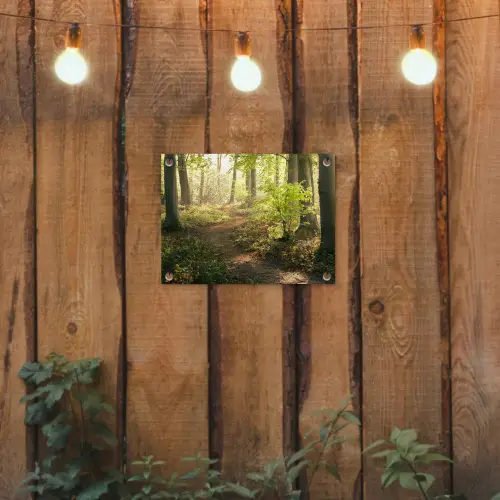 Bos - Bomen - Pad - Zon - Planten - Bladeren - Natuur tuinposter los doek klein -sfeer1