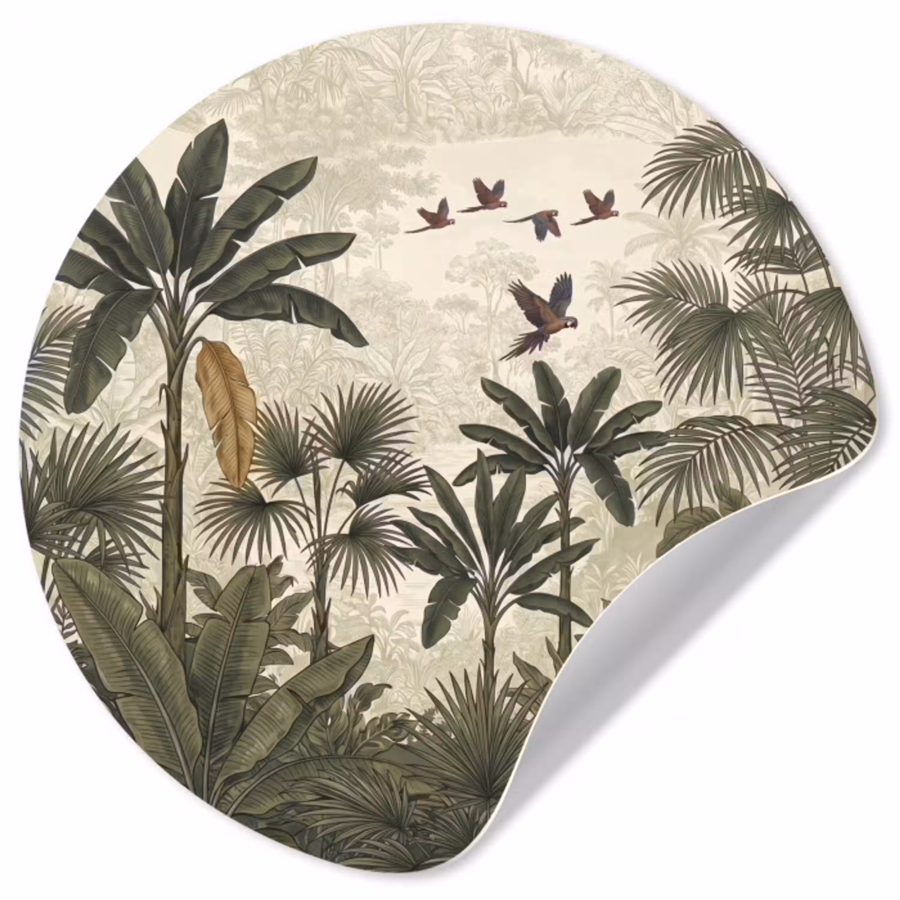Papagaaien - Jungle - Tropisch - Green Wandcirkel behangsticker klein -3d
