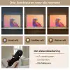 Arend - Vogel - Kleurrijk - Dier Light Box met batterij (Wandlamp kind) middel -USP_lichtkleurNL