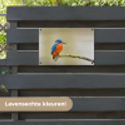 Vogel - IJsvogel - Tak tuinposter los doek klein -sfeer3