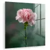 Anjer - Roze - Bloemblaadjes plexiglas 5mm klein -zzzproduct_nieuw