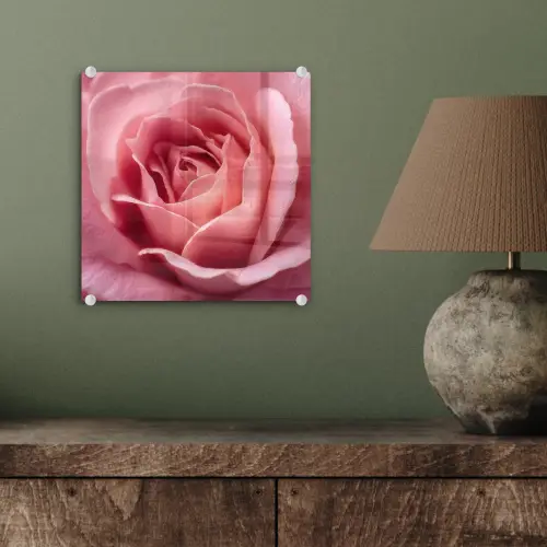 Roze - Roos - Romantisch plexiglas 5mm klein -sfeer3