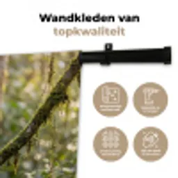 Quetzal - Jungle - Natuur - Groen Wandkleed katoen klein -sfeer2