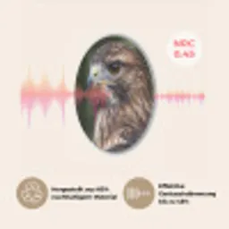 Buizerd - Roofvogel - Natuur - Bruin Akoestische PET Vilt - Rond klein -USP_DE