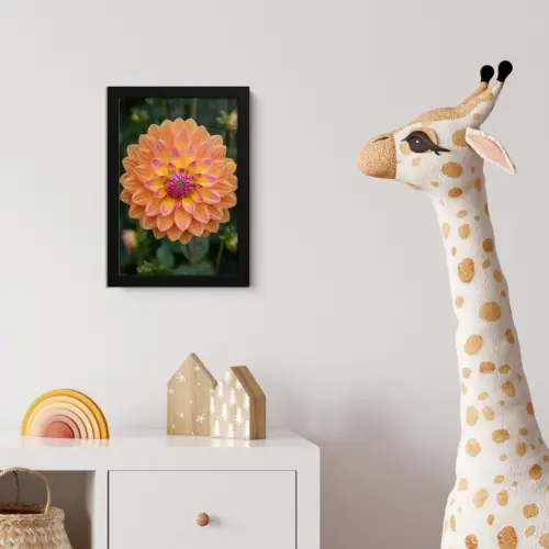 Dahlia - Bloem - Oranje fotolijst zwart zonder passe partout klein -usfeer4_kinderkamer