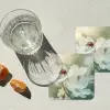 Lieveheersbeestje - Bloemen - Wit onderzetter kurk middel -sfeer4