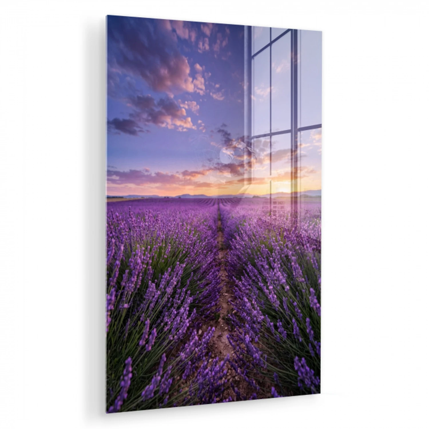 Lavendel - Veld - Natuur - Paars plexiglas 5mm klein -zzzproduct_nieuw