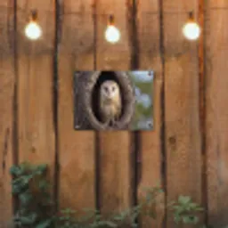 Kerkuil - Boom - Natuur - Bruin tuinposter los doek klein -sfeer1