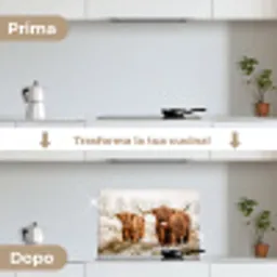 Schotse hooglander - Koe - Natuur - Winter keuken achterwand spatscherm klein -voor_na_IT