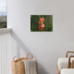 Bloem - Gladiolen - Zalmroze tuinposter los doek klein -sfeer8