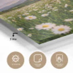 Madelief - Veld - Heuvels - Groen plexiglas 5mm klein -sfeer2