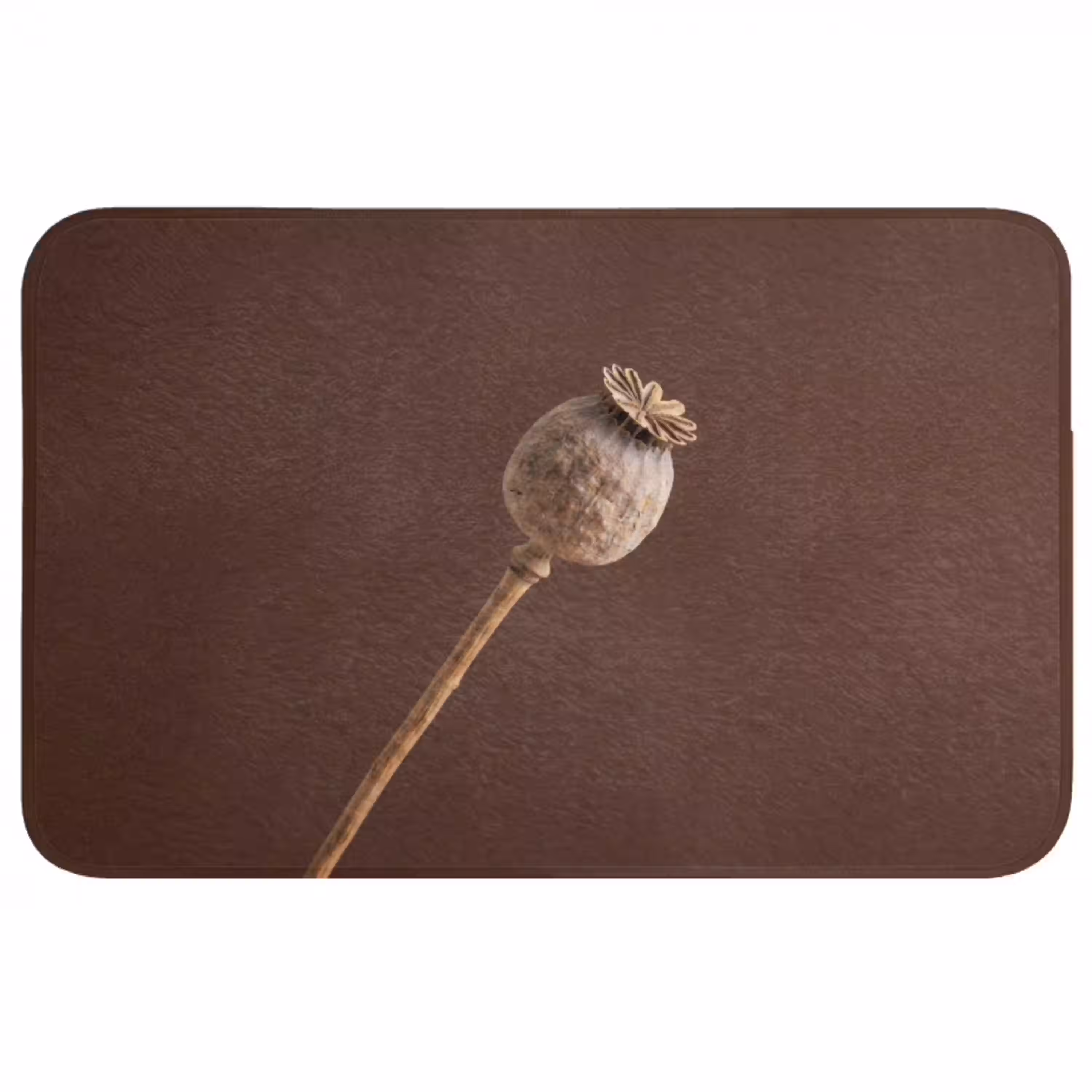 Papaverbol - Droogbloem - Bruin - Minimalistisch Badmat middel -3d