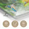 IJsvogels vliegen in het water plexiglas 5mm klein -sfeer2