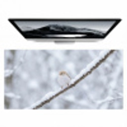 Vogeltje - Sneeuw - Tak - Winter - Zacht Muismat XXL klein -zzz3d