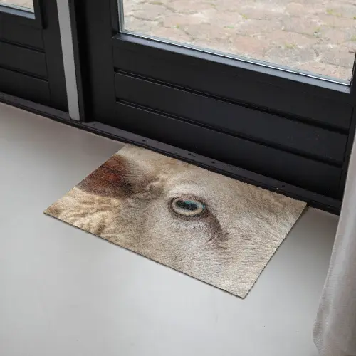 Schaap - Oog - Wit Deurmat klein -sfeer2