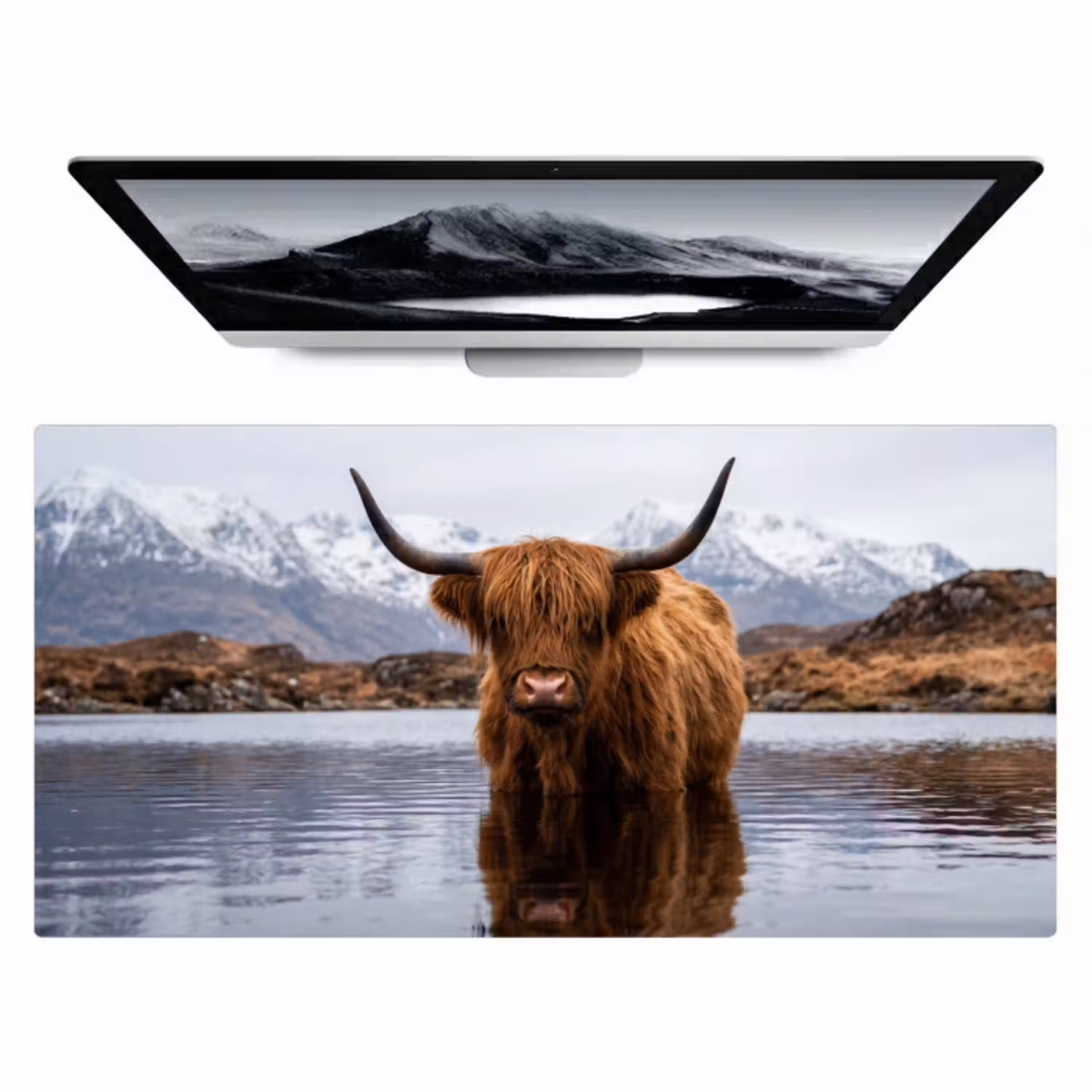 Schotse hooglander - Bruin - Water Muismat XXL klein -zzz3d