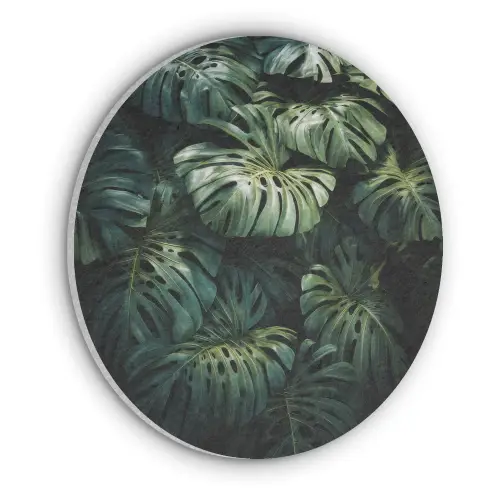 Plant - Monstera - Lichtinval Akoestische PET Vilt - Rond klein -3d
