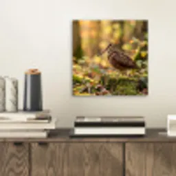 Houtsnip - Bos - Bladeren - Herfst - Gecamoufleerd aluminium wit klein -sfeer1