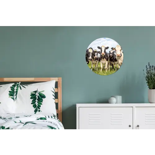 Koeien - Weiland - Dieren - Natuur - Gras Wandcirkel aluminium klein -slaapkamer