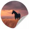 Paard - Wolken - Open veld Wandcirkel behangsticker klein -3d