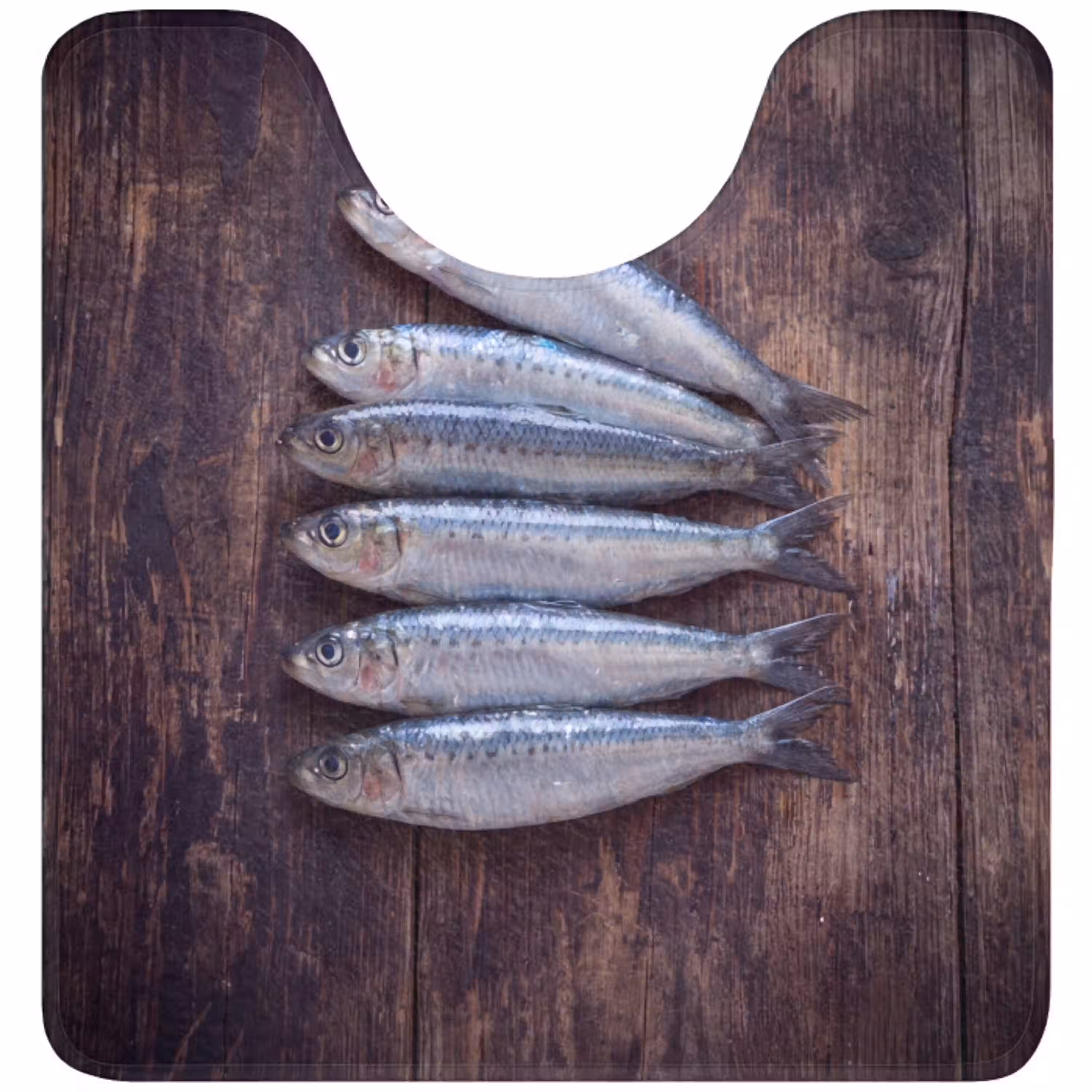 Vis - Hout - Eten WCmat U-uitsnede middel -3d