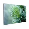 Blad - Plant - Groen - Textuur canvas 2cm klein -z3d