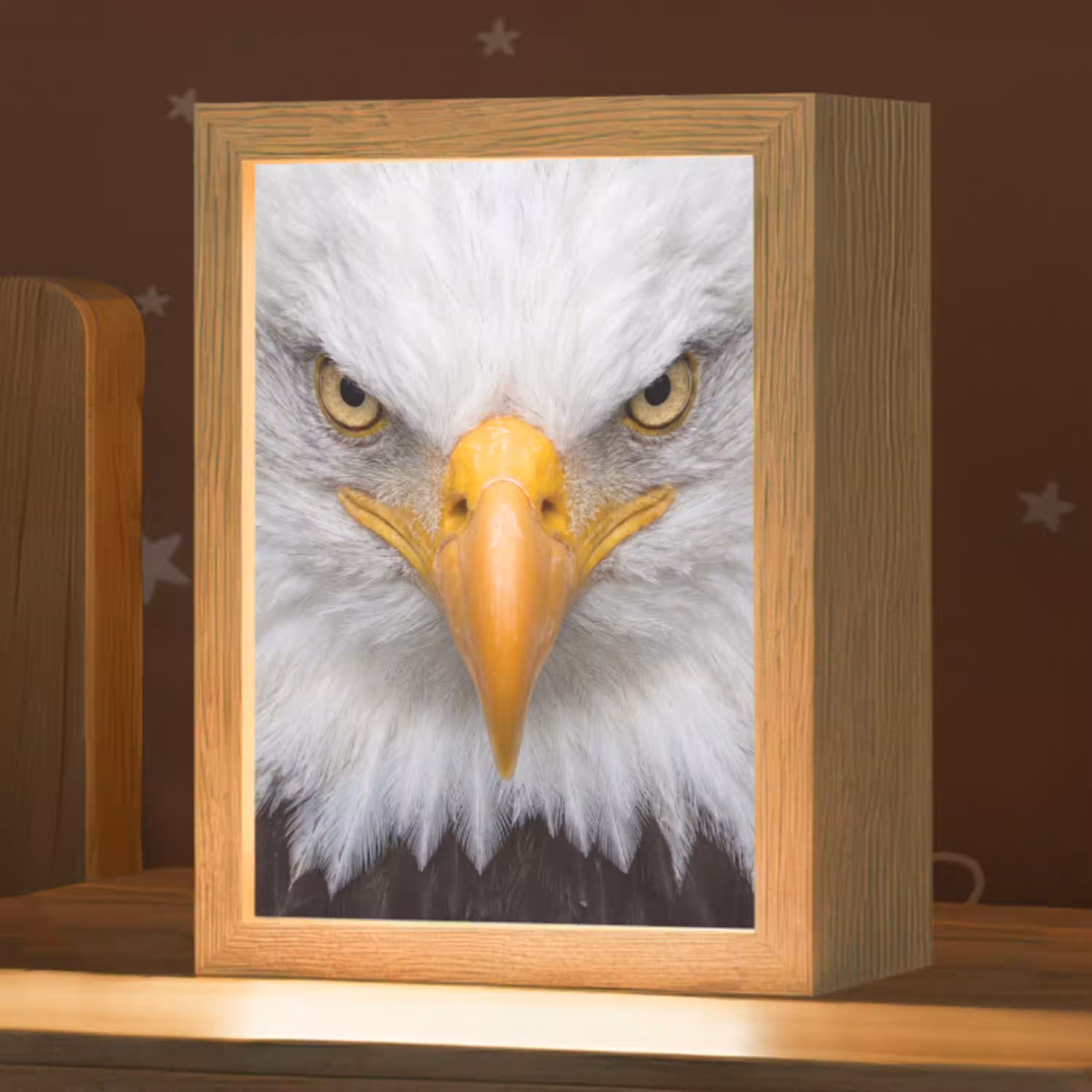 Amerikaans - Zeearend - Portret - Geel Light Box met kabel (Kinderlampje) klein -zzz_3d_website