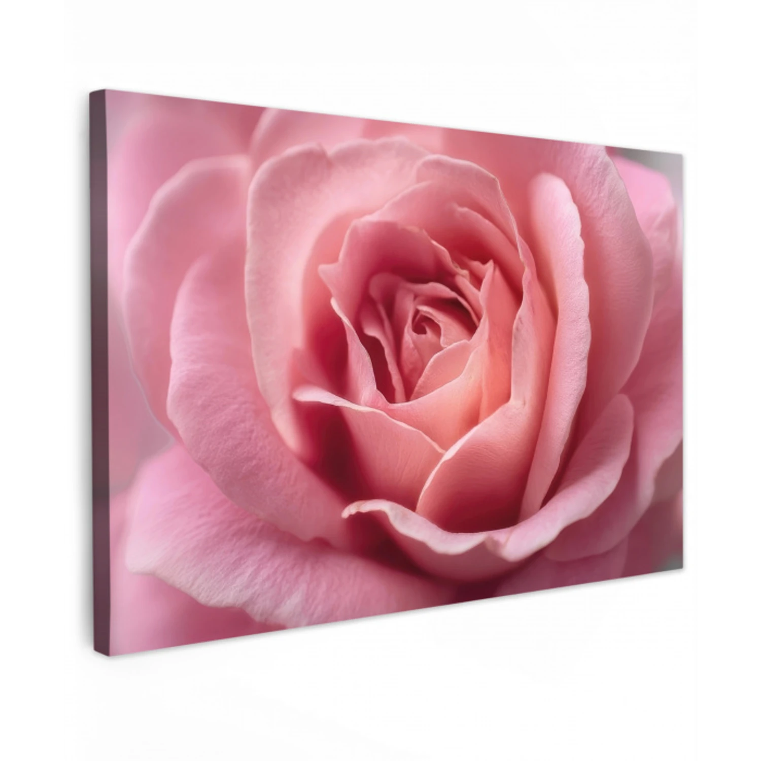 Roze - Roos - Romantisch canvas 2cm klein -z3d