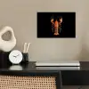 Kreeft - Oranje - Zwart - Modern poster papier klein -sfeer1
