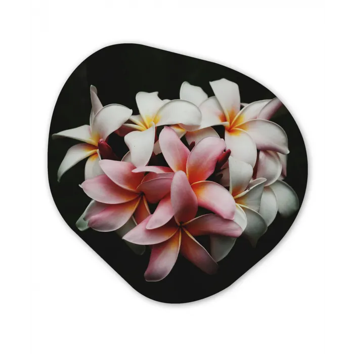 Bloemen - Roze - Zwart - Flora - Botanisch Wandcirkel Organisch Forex 3mm klein -3d
