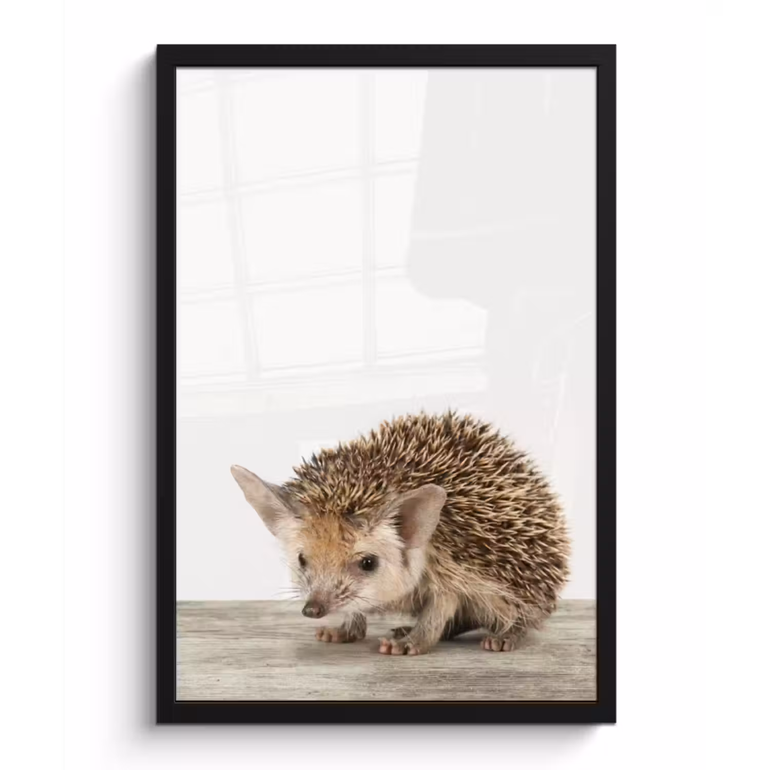 Poster met lijst - Egel - Dieren - Kinderen - Jongens - Meisjes
