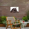 Portret - Paard - Elegant Tuinposter op houten frame 2 cm dik klein -sfeer3