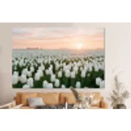 Tulpen - Landschap - Wit forex 5mm xxl -bovenbank