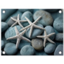 Zeesterren - Stenen - Wit tuinposter los doek klein -3d