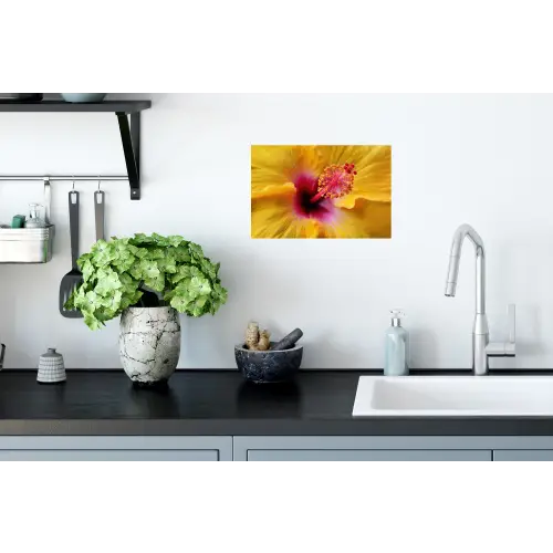Geel - Hibiscus - Tropisch Muursticker klein -keuken