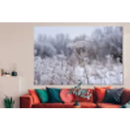 Schermbloem - Rijp - Kristallen - Winter - Delicaat forex 5mm xxl -woonkamer