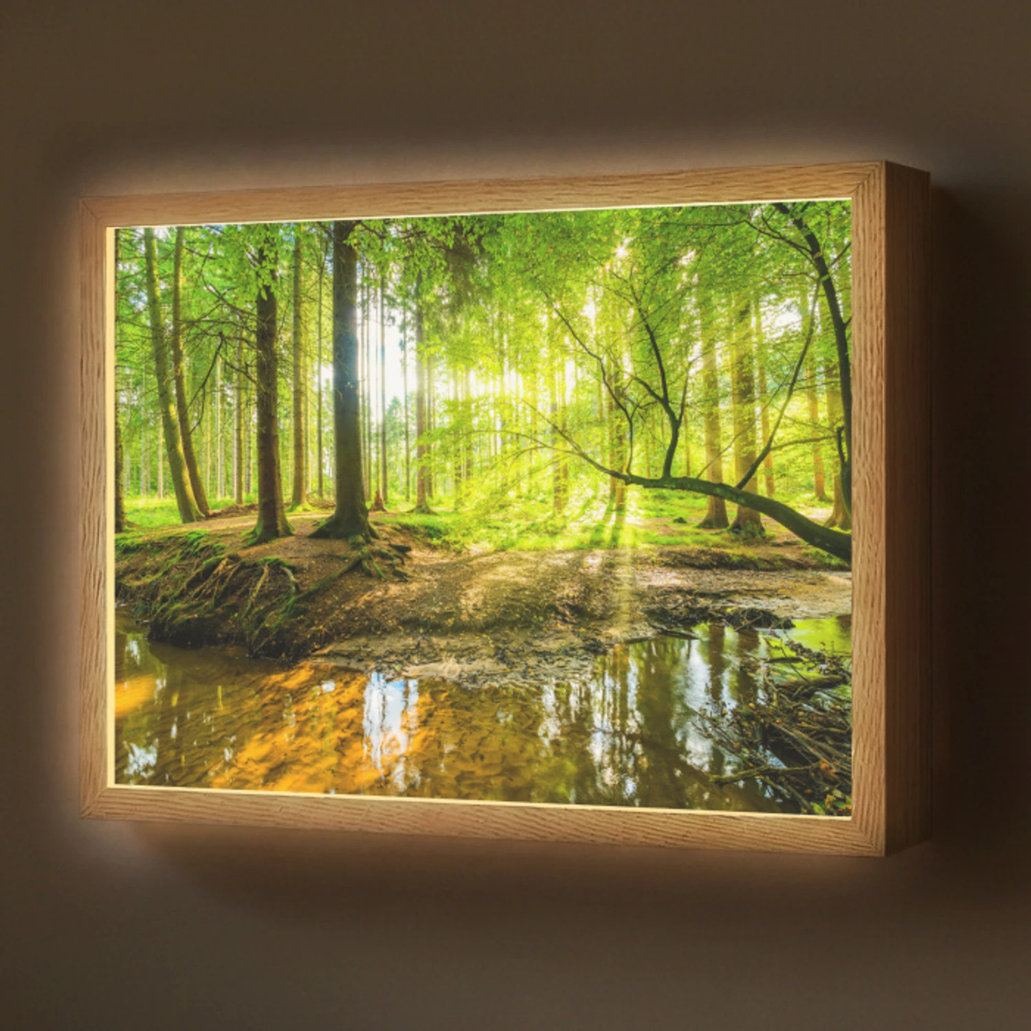 Bos - Landschap - Water - Bomen - Zon - Groen - Natuur Light Box met batterij (Wandlamp) middel -z3d_website