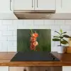 Bloem - Gladiolen - Zalmroze keuken achterwand spatscherm klein -sfeer2