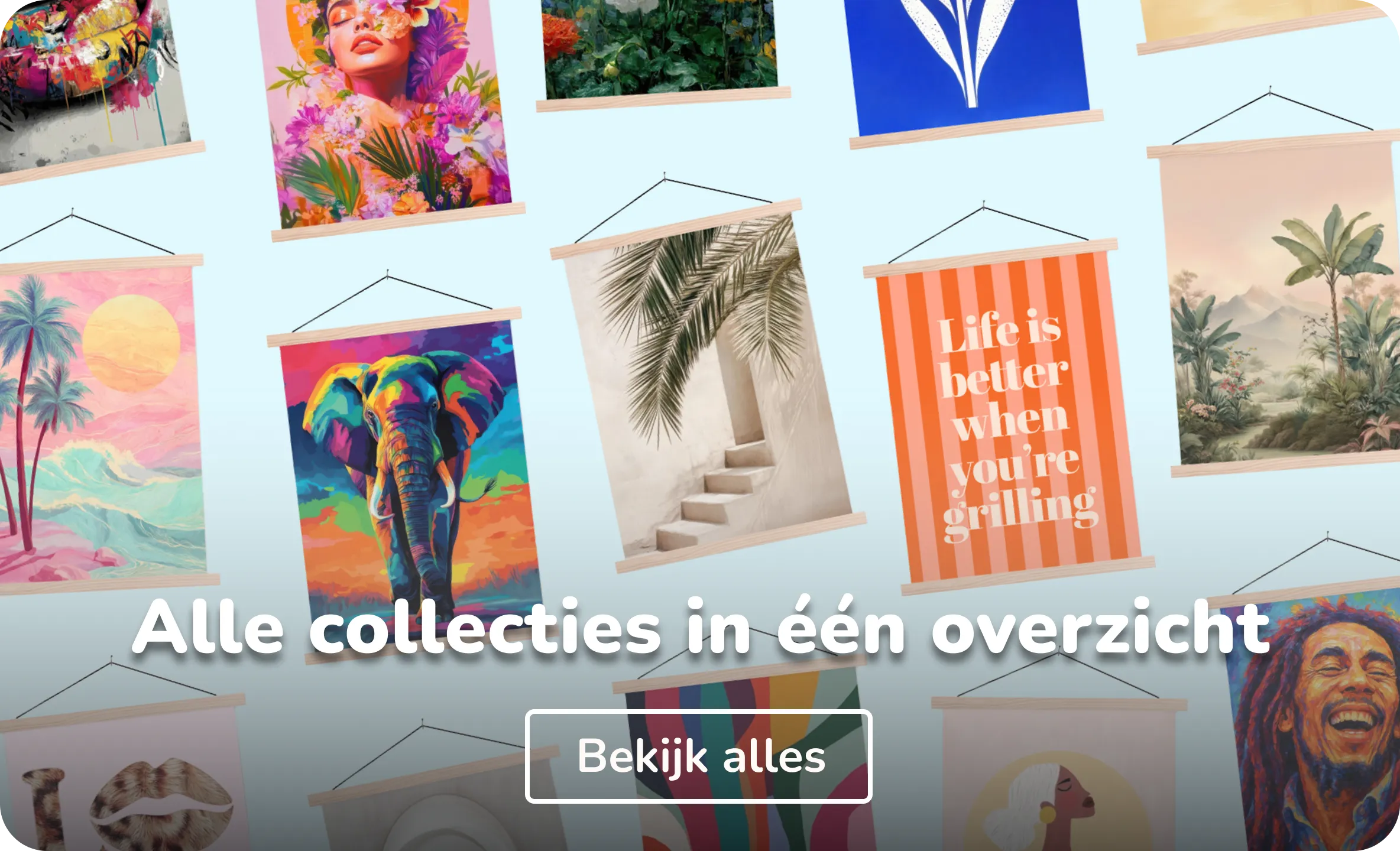 Alle schoolplaat collecties