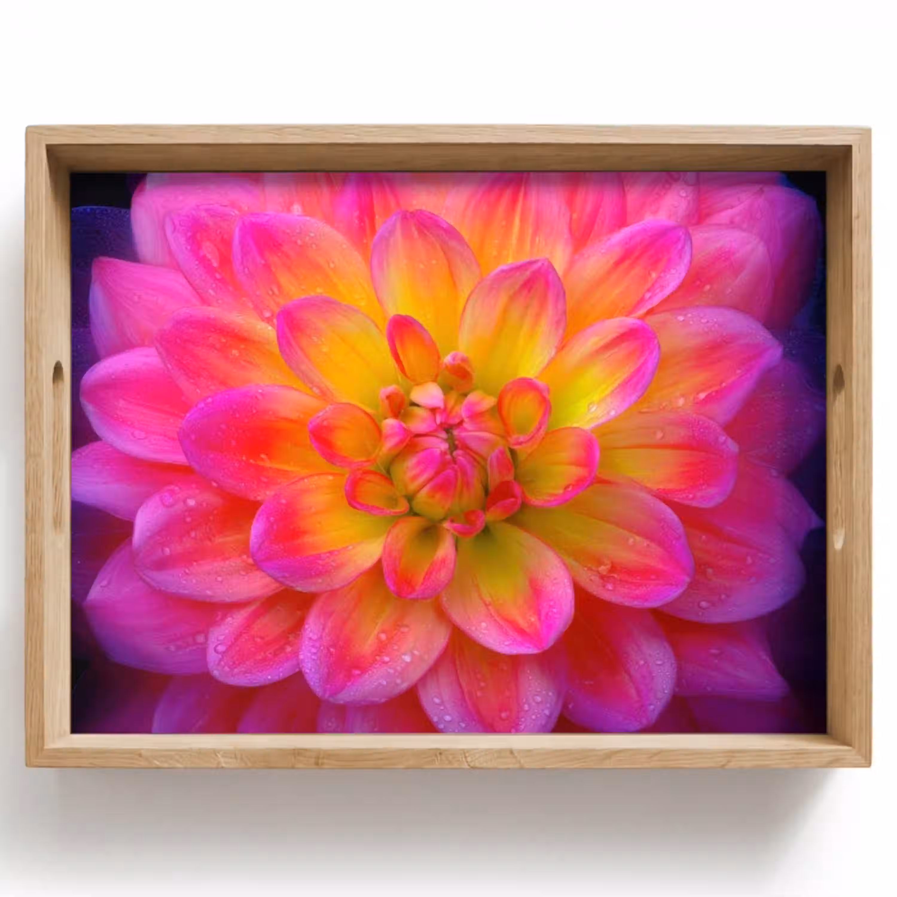 Roze - Dahlia - Kleurrijk Dienblad Rechthoek middel -z3d_shopping