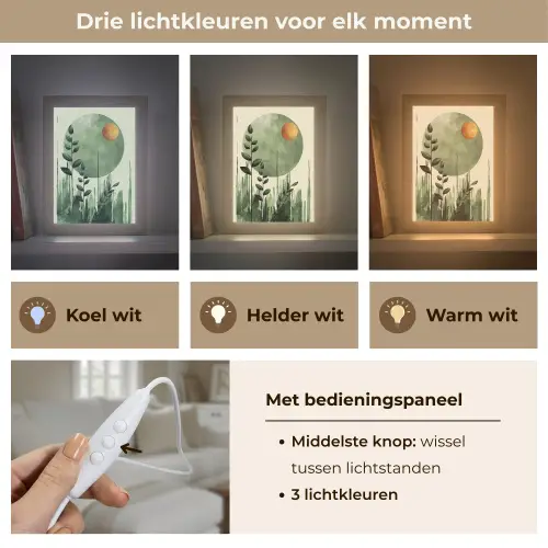 Abstract - Natuur - Kunst - Zon - Modern Light Box met kabel (Tafellamp) klein -USP_lichtkleurNL