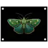Mot - Levendig - Groen tuinposter los doek klein -3d
