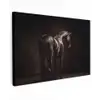 Krachtig - Paard - Donker Tuinposter op houten frame 2 cm dik klein -3d