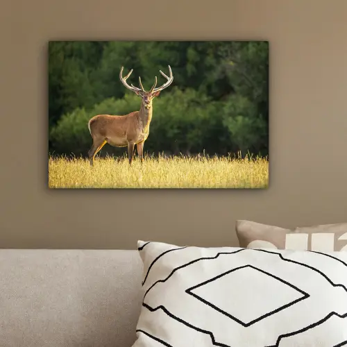 Hert - Gewei - Gras - Natuur - Dieren - Groen canvas 2cm klein -sfeer3