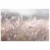 Graspluimen - Wind - Beige - Mistig poster papier klein -3d